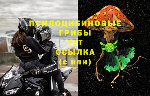spice Абинск