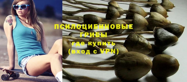 молекула духа Алексеевка