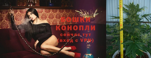 spice Абинск