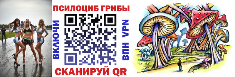 Галлюциногенные грибы Cubensis  цена   Нижний Ломов 